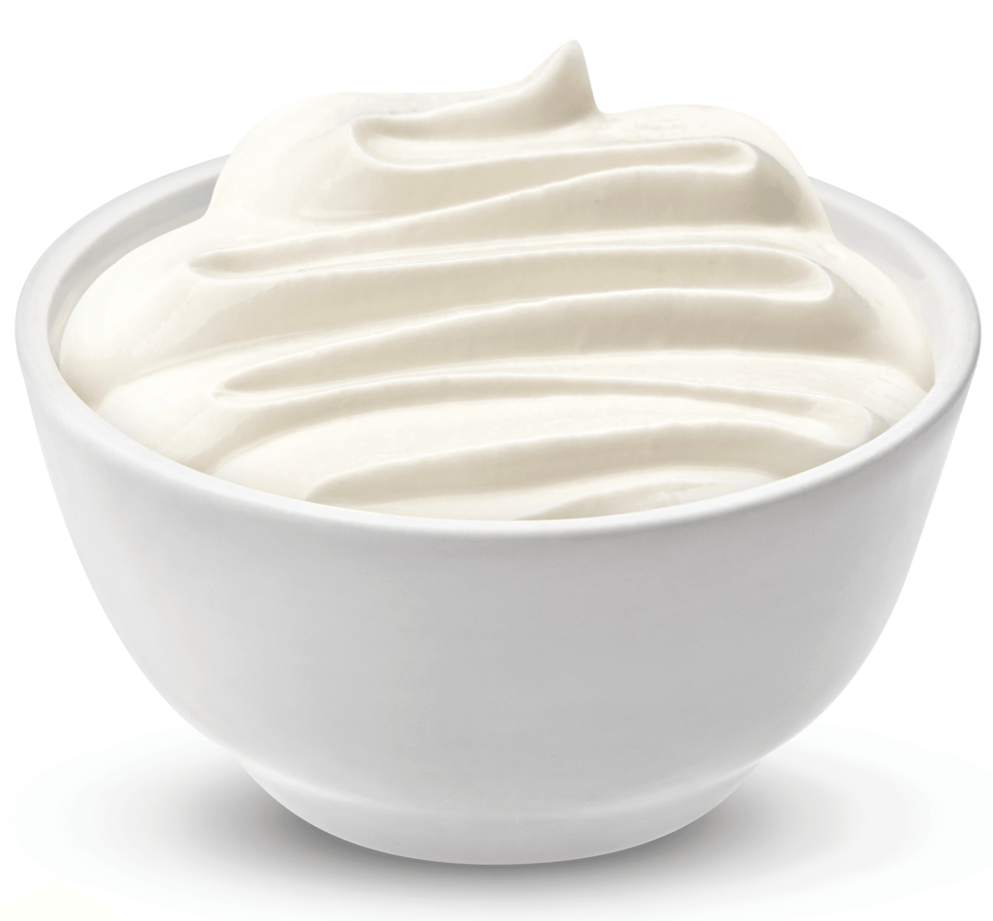 Natural Liquid Yogurt With Apple - biopetfoodshop